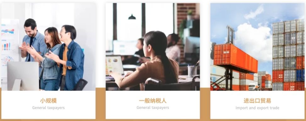 工商服务模板用户群体区域并列展示小规模、一般纳税人和进出口贸易三张卡片